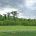 The Plaquemines Parish School Board purchases 54 acres for a new Belle Chasse High School campus, marking major growth for Plaquemines Parish schools.