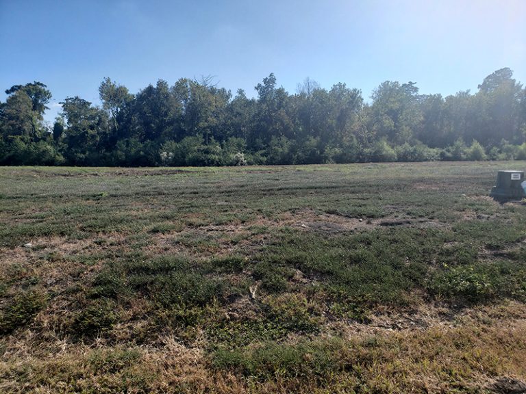 Lots The Parks of Plaquemines A Master Planned Community in the