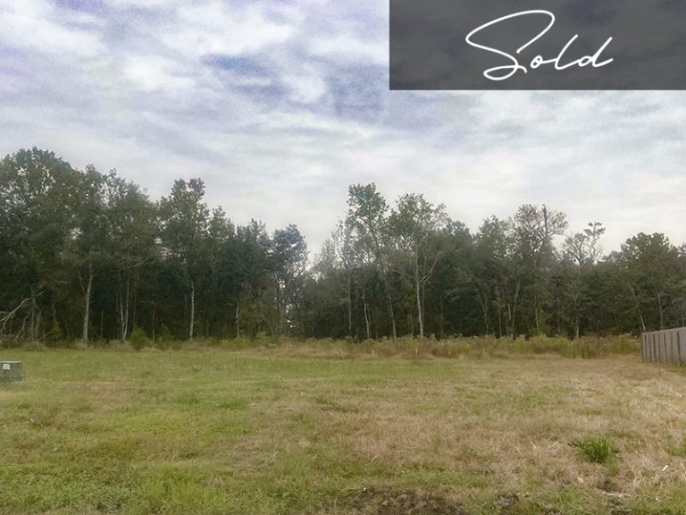 Home The Parks of Plaquemines